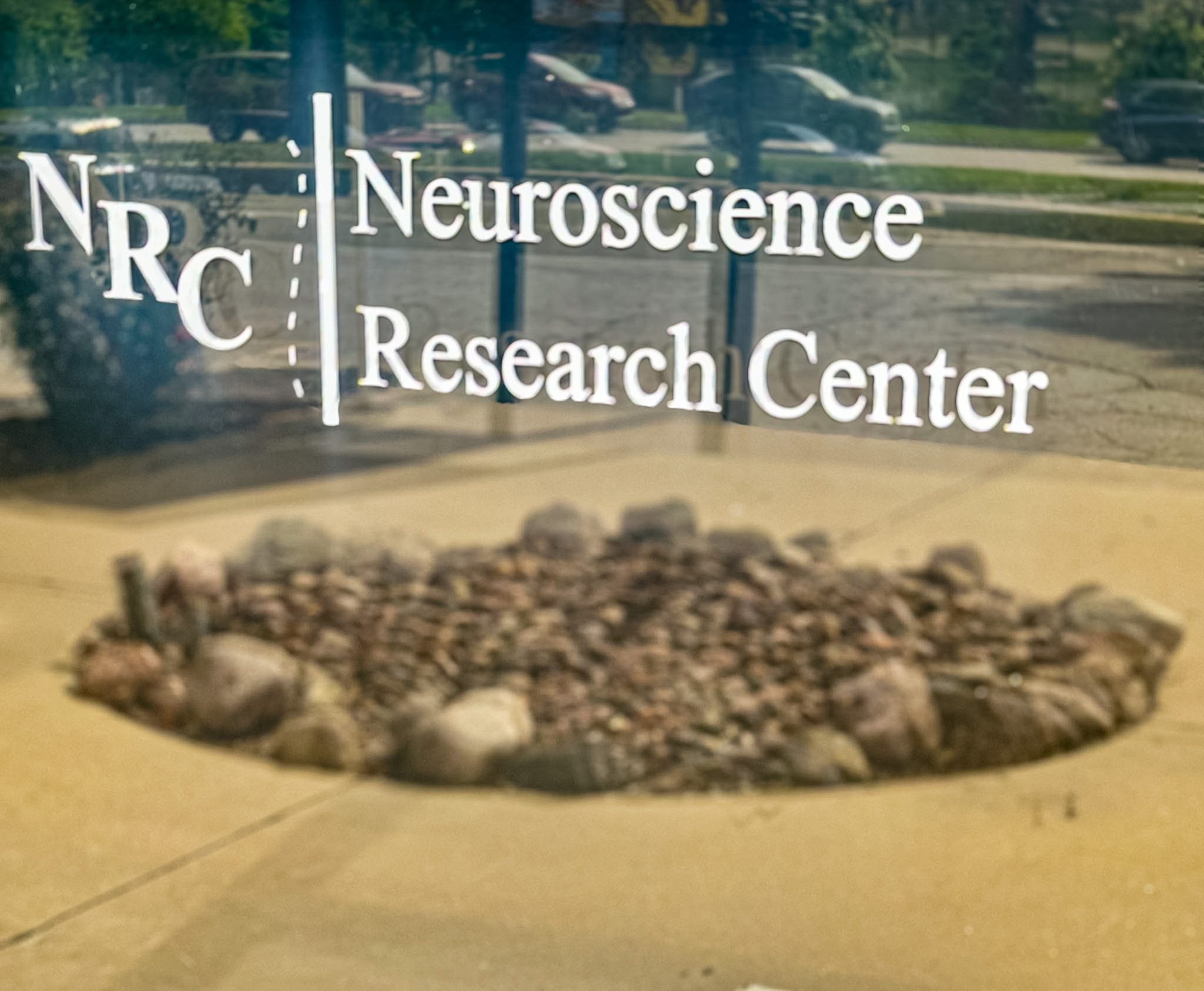 Neurscience Research Research & Publications | Neuroscience Research Clinical Trials